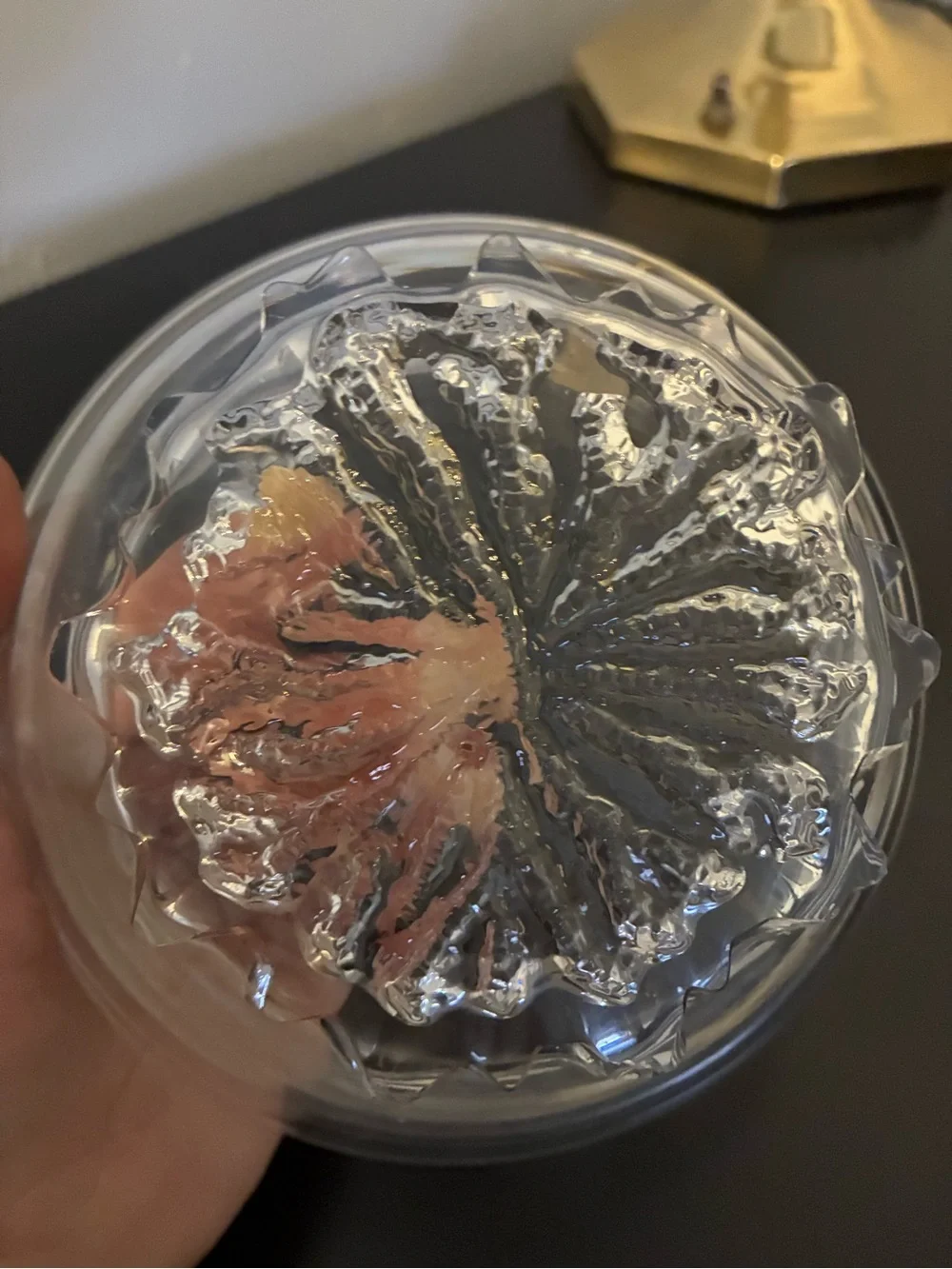 Hadeland Norway Nautilus Art Glass Bowl | Scandinavian Decor Quiet Luxury